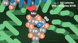 Азотфиксация