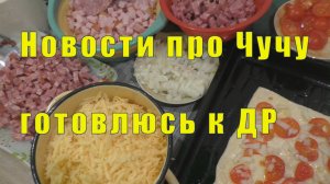 НОВОСТИ ПРО ЧУЧУНДРУ/ ГОТОВЛЮСЬ К ДНЮ РОЖДЕНИЯ / 12 / 13 и 14 декабря 2025