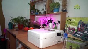 В Саратовской епархии ведётся поддержка лиц с нарушениями зрения