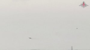 VID_20251219_075052_537.mp4