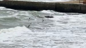 ОДЕССА 19 ДЕКАБРЯ 2025. БРИТАНИЯ ХОЧЕТ ОГРАБИТЬ АБРАМОВИЧ