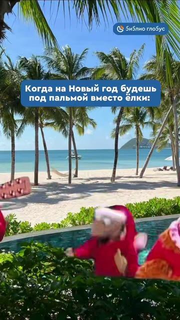 Когда на Новый год будешь под пальмой вместо ёлки #shorts смотреть онлайн