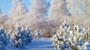 СП Добиваю недовязы 4/2025 Отчёт 44