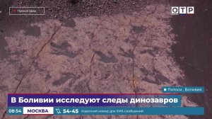 В Боливии исследуют следы динозавров