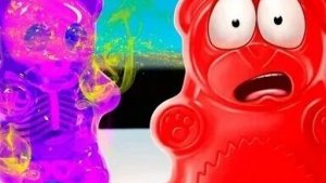 ЖЕЛЕЙНЫЙ МЕДВЕДЬ ВАЛЕРА