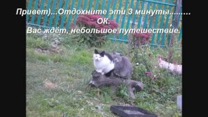 Небольшое путешествие по Вселенной. Немного отдохните эти 3 минуты).