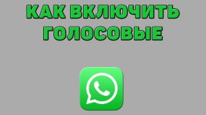 Как включить голосовые в Ватсапе