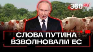 Слова Путина о «подсвинках» взволновали страны Европы