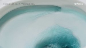 Подвесной безободковый унитаз Cezares Duet, белый, CZR-2462-TH-TOR