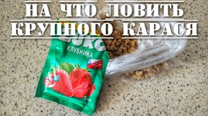 На что лучше ловить крупного карася на поплавочную удочку в пруду летом