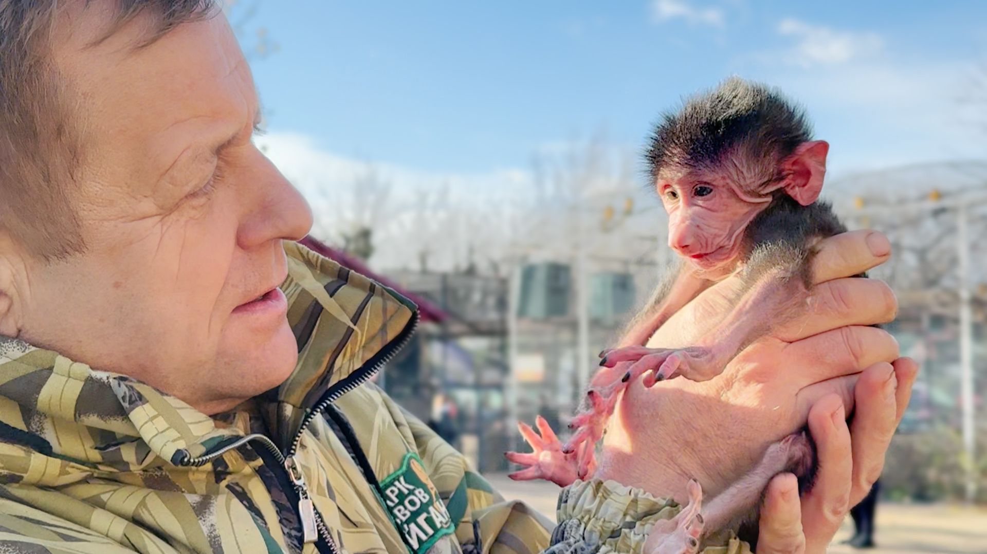 Новорожденная ЗВЕЗДА! Анфиса в шоке, Люся в стрессе - все внимание малышке! Вырастет невеста Степану смотреть онлайн