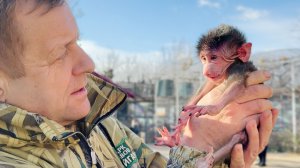 Новорожденная ЗВЕЗДА! Анфиса в шоке, Люся в стрессе - все внимание малышке! Вырастет невеста Степану