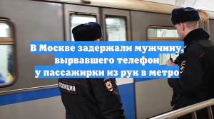 В Москве задержали мужчину, вырвавшего телефон у пассажирки из рук в метро