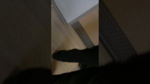 музей в Гатчине