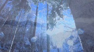 путь света💞