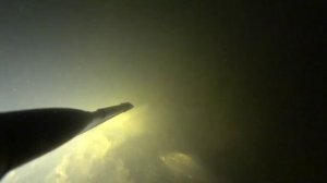 Подводная охота. Трофейный белый амур