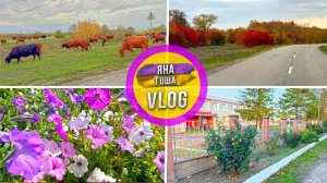 Везде уже зима, а в КРЫМУ только начинается осень! Ноябрь в Крыму.