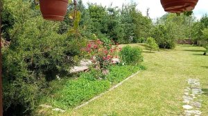 Весна в моих владениях.