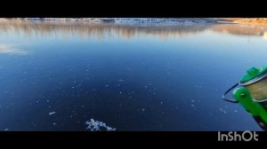 Осенний жерех на пако