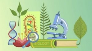 Биология. Эволюция биосферы