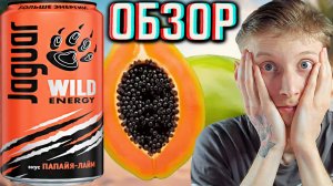 НОВИНКА 10 ИЗ 10! JAGUAR WILD ENERGY ПАПАЙЯ-ЛАЙМ! НОВЫЙ НАПИТОК ОТ ЯГУАРА!ДИКАЯ ЭНЕРГИЯ!ОБЗОР