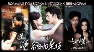 Большая подборка китайских веб-дорам / вертикалок / Выпуск 4