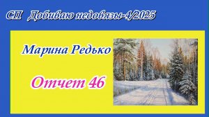 СП "Добиваю недовязы-4/2025" / Отчет 46