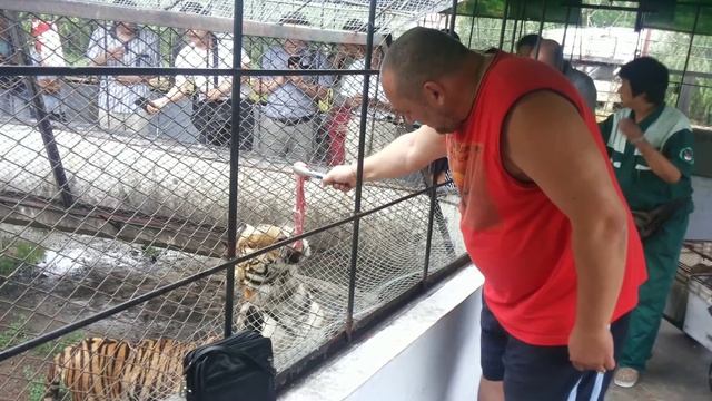 SAFARI PARK HARBIN part 8