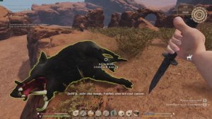 Каубойскае  життё #9   Охота  на  вепря .