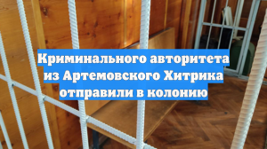 Криминального авторитета из Артемовского Хитрика отправили в колонию