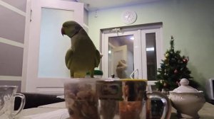 Приключения зелёного человечка