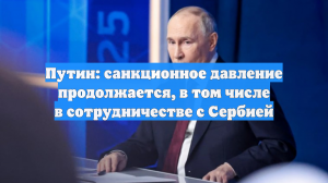Путин: Россия исходит из того, что Сербия исполнит обязательства по NIS