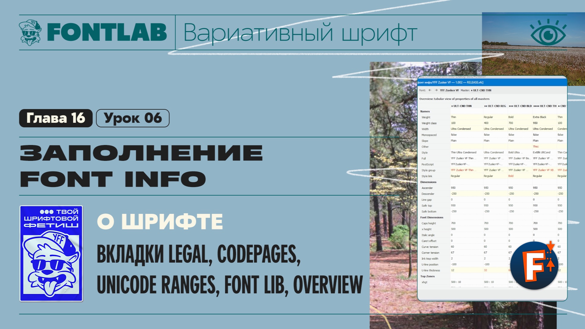 ДВШ 16-05 Заполнение Font info – Вкладка Creator – Урок Fontlab