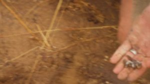 Голые и напуганные: Апокалипсис 1 сезон 7 серия (реалити-шоу, 2025)