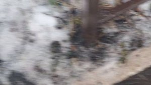 прячется в снегу з раунда!!🎄🎄♥️♥️