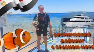 Египет Июль 2025 Шарм-эш-Шейх Дайвинг