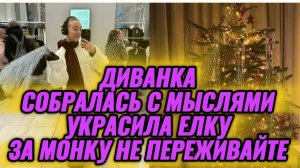 САМВЕЛ АДАМЯН, МИСС ВОНГ, СОБРАЛАСЬ С МЫСЛЯМИ, УКРАСИЛА ЕЛКУ, ЗА МОНКУ НЕ ПЕРЕЖИВАЙТЕ..