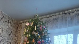 Ёлка 2025 (декабрь)