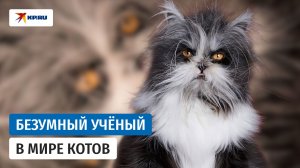 Кот-оборотень: Атчум – самый лохматый кот в мире