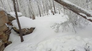 Проверка капканов часть #7,удачно 👍