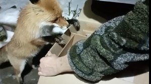 Подарок от Натальи из Москвы