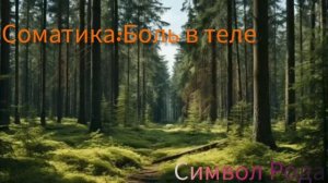 Соматика:Тело болит