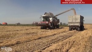 Они добились наивысшего урожая