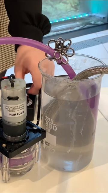 Пообщался со стартапами, полное видео есть на канале GARINISCH смотреть онлайн