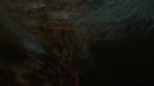 Подводный охотник