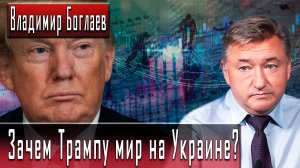 Зачем Трампу мир на Украине? #ВладимирБоглаев #ДмитрийДанилов