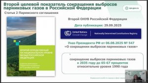 Отчетность. 2025