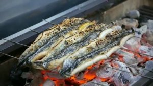 Дикий КАБАН и УГОРЬ Wild BOAR EEL Приготовление Смешанного ВКУСНОГО БЛЮДА ЯПОНСКАЯ Еда