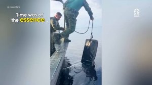 Спасение раненого ягуара из воды. Зверь просит о помощи.