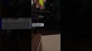 будем делать дракона